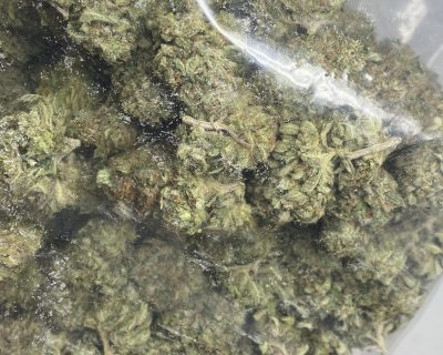 PINK MOONLIGHT (MEGA GAS) (BULK ONLY) - Image 7